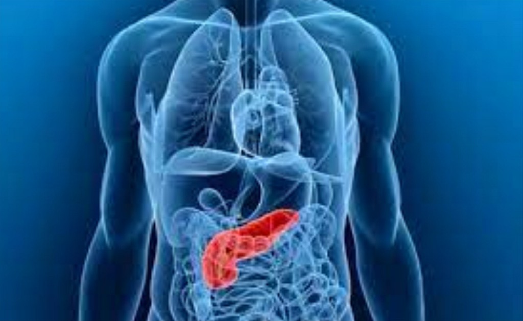 Complex Pancreatic Surgery Complex Pancreatic Surgery
