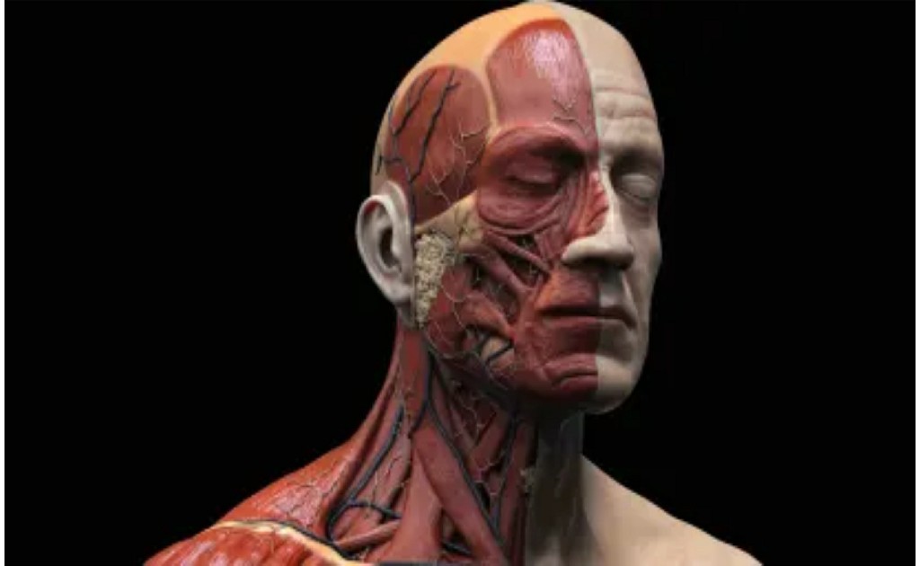 Head and Neck Reconstruction Surgery Head and Neck Reconstruction Surgery