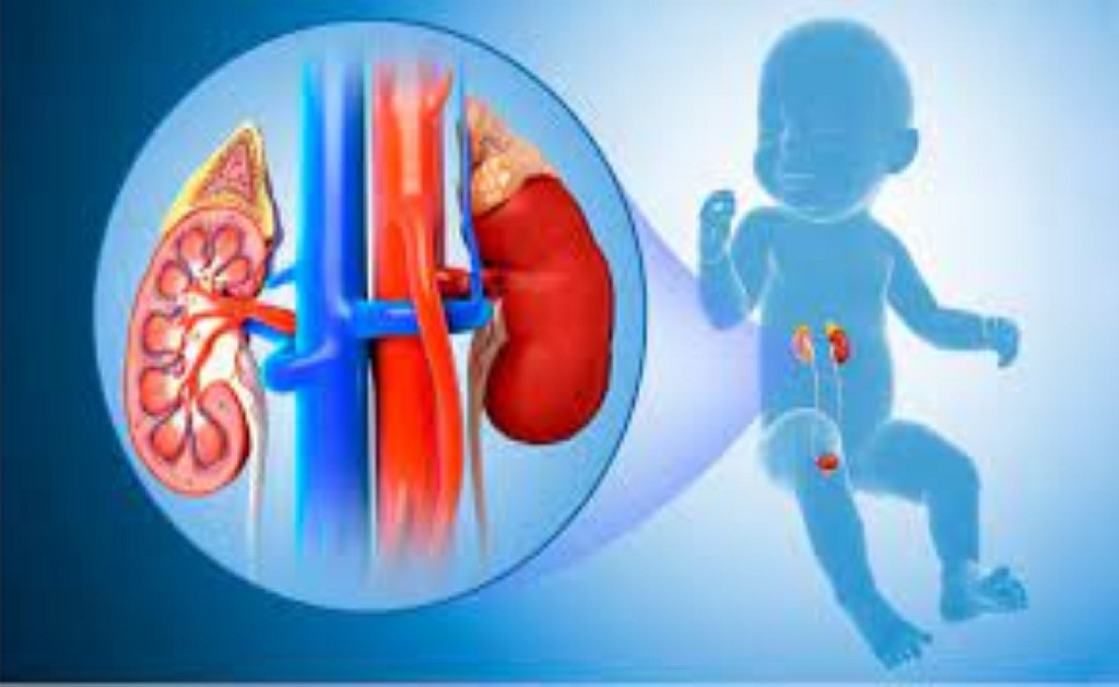 Pediatric Urology Surgery Pediatric Urology Surgery