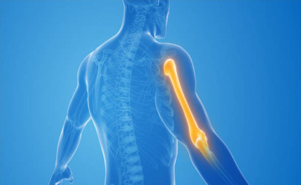 Shoulder Joint Replacement Shoulder Joint Replacement