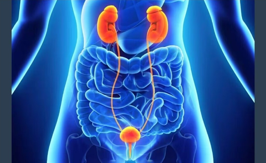 Prostate Problems General