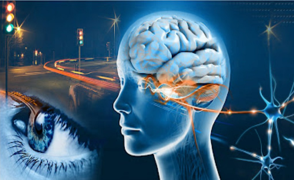 Neuroophthalmology Clinic Cornea Clinic Kulkarni Eye Hospital Ballari Neuroophthalmology Clinic Cornea Clinic Kulkarni Eye Hospital Ballari