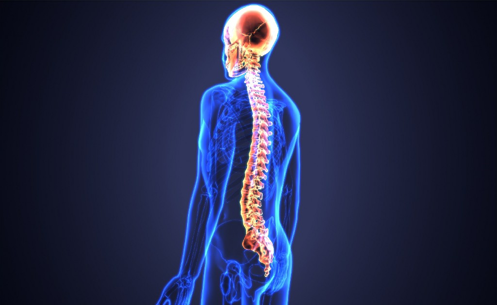 Spinal Cord Injuries Treatment Spinal Cord Injuries Treatment