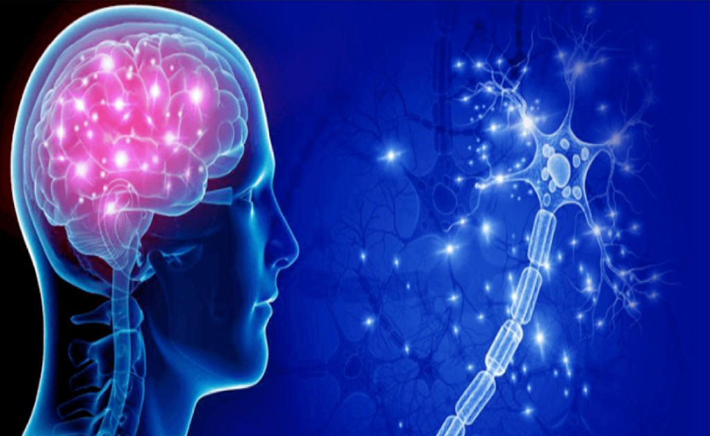neurosurgeon 1 Stereotactic Surgery