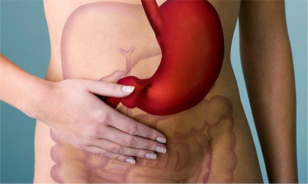 Appendix Appendix, N B Hospital Dr, Kasa Somasekhar Ballari
