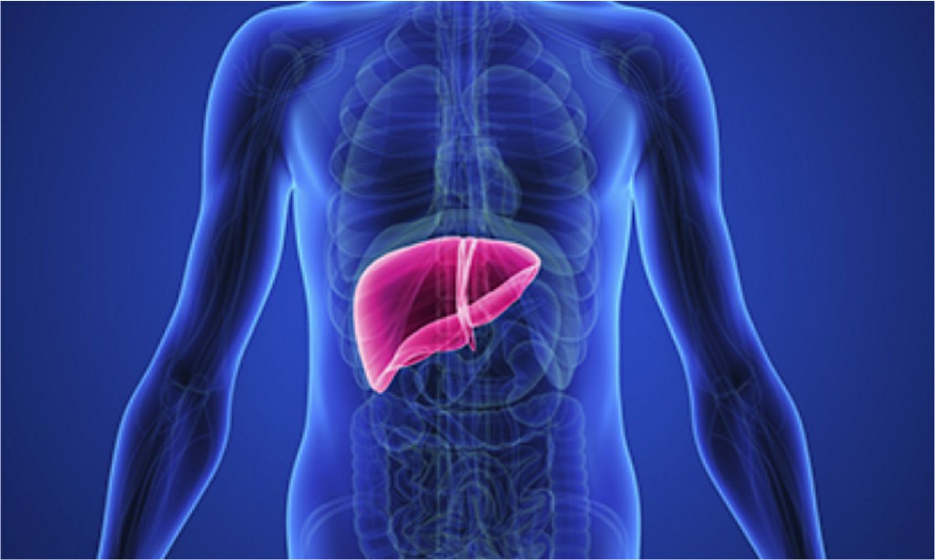 Hydrostatic Of Liver Hydrostatic Of Liver, N B Hospital Dr, Kasa Somasekhar Ballari