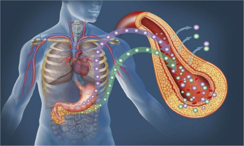 Pancreas Disease Pancreas Disease, N B Hospital Dr, Kasa Somasekhar Ballari