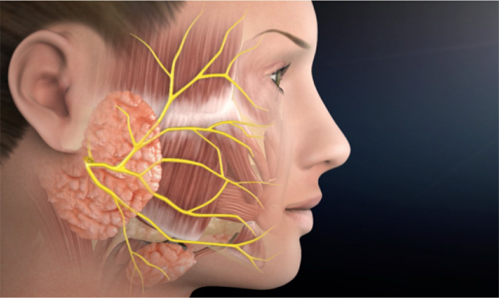 Partial Gland Disease Partial Gland Disease N B Hospital Dr, Kasa Somasekhar Ballari