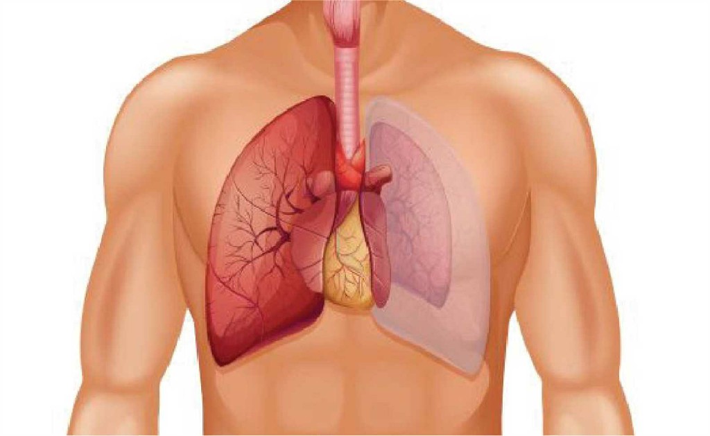 Thoracic Cancer Complex Pancreatic Surgery
