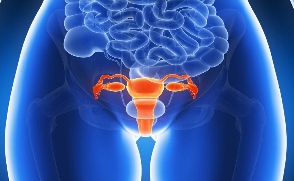 Tubal Reconstructive Surgery Tubal Reconstructive Surgery