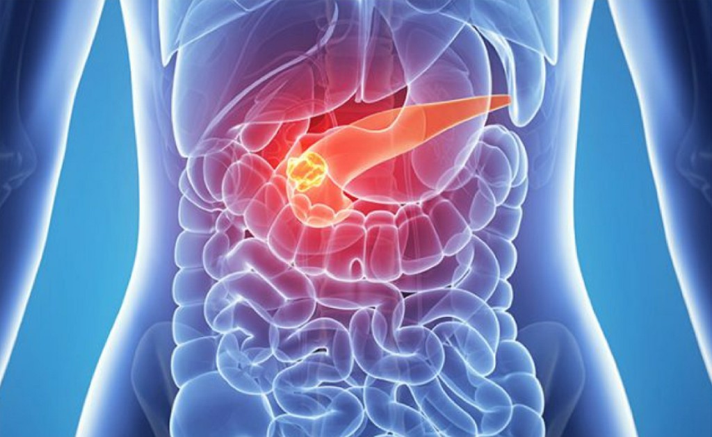 Hepatobiliary Surgery Hepatobiliary Surgery