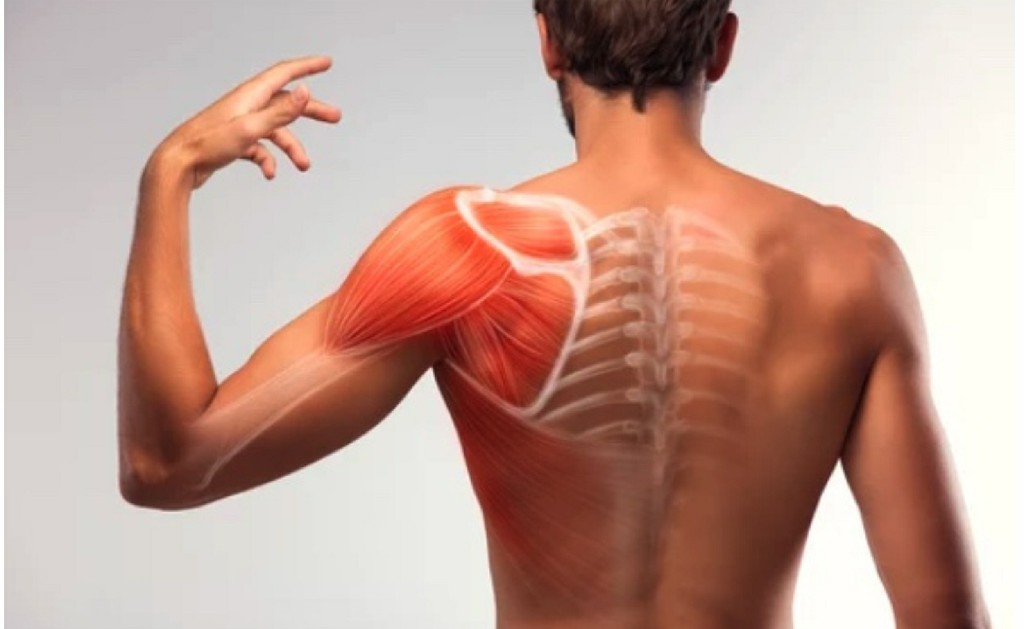 Shoulder Fracture Treatment Shoulder Fracture Treatment