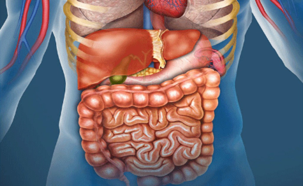 Gastroenterology and Hepato Biliary Surgery